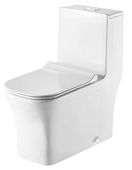 Унитаз-моноблок напольный ZILI DO ZS-1017A-P ФОРКИЙ г.вып б.ободка rimless ДЮР м.лифт 700х370х800мм